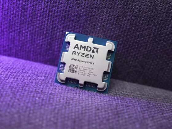 carte graphique pour Ryzen 5 9600X